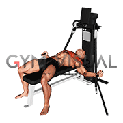 Cable Lying Fly (VERSION 3)