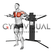 Cable Standing Alternating Diagonal Chest Press (VERSION 3) gif