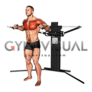 Cable Standing Alternating Diagonal Chest Press (VERSION 3)