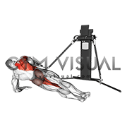Cable Side Plank Row (VERSION 3) gif