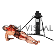 Cable Side Plank Row (VERSION 3)