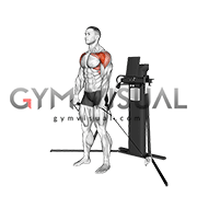 Cable Standing Front Raise (VERSION 3)