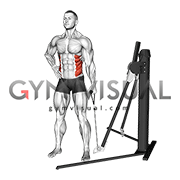 Cable Standing Side Bend (VERSION 3)