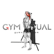 Cable Standing Single Arm Overhead Triceps Extension (VERSION 3)