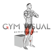 Bodyweight Box Squat