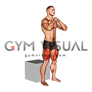 Bodyweight Box Squat