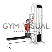 Cable Reverse Narrow grip Lat Pulldown (male)