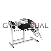 Glute Ham Developer Full Sit up