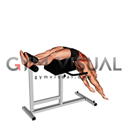 Glute Ham Developer Full Sit up