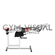 Glute Ham Developer Straight Arms Sit up