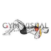 Resistance Band Lying Floor Chest Press (male)