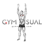 Bodyweight Standing Overhead Shrug