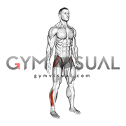 Standing Ankle and Hip Drill