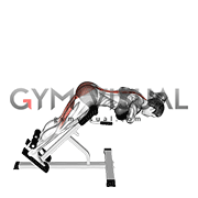 Weighted Hyperextension (female)