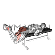 Reverse Hyperextension on Bench