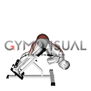 45 degree Hyperextension (arms in front of chest) (male)