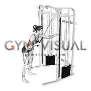 Cable Single Arm Triceps Pushdown (rope attachment) (female)