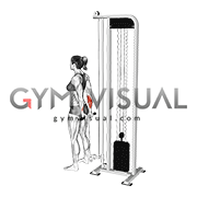 Cable Standing Back Wrist Curl (female)