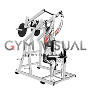 Lever Reverse grip Lateral Pulldown (plate loaded) (female)