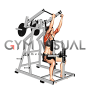 Lever Reverse grip Lateral Pulldown (plate loaded) (female)