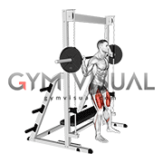 Smith Bench Squat