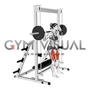 Smith Bench Squat (female)