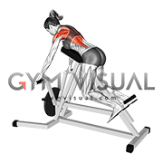 Lever Lying T bar Row (female)