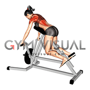 Lever Lying T bar Row (female)