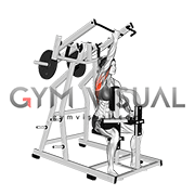 Lever Single Arm Reverse grip Lateral Pulldown (plate loaded) (female)