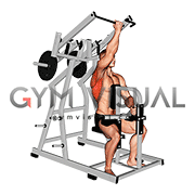 Lever Single Arm Reverse grip Lateral Pulldown (plate loaded)