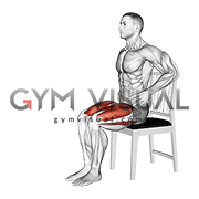 Seated Alternate Knee Extension on Chair (male)