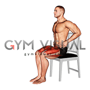 Seated Alternate Knee Extension on Chair (male)