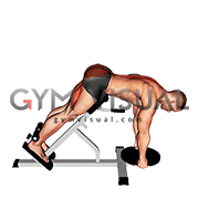Weighted Plate Hyperextension (VERSION 2)