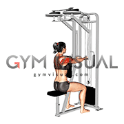 Lever Seated Reverse Fly (female)