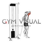 Cable Overhead Single Arm Triceps Extension (rope attachment)