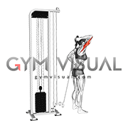 Cable Overhead Single Arm Triceps Extension (rope attachment) (female)
