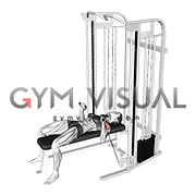 Cable Bench Press (female)