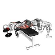Dumbbell Straight Arm Pullover (VERSION 2) (female)