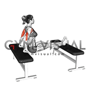 Triceps Dip (bench leg) (female)
