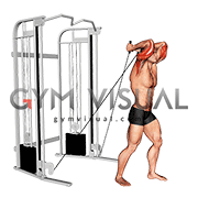 Cable Standing Neutral Grip Overhead Triceps Extension (male)