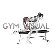 Bench Hip Extension (female)