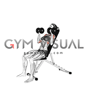 Dumbbell Incline Shoulders Press (female)