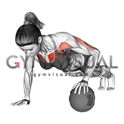 Push-Up Medicine Ball (female)