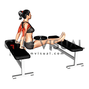 Weighted Bench Dip (female)