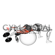 Dumbbell Pullover on Exercise Ball (female)