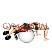 Dumbbell Pullover on Exercise Ball (female)