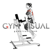 Weighted Tricep Dips (female)