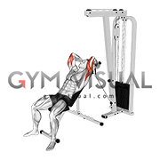 Cable Rope Incline Tricep Extension