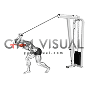 Cable High Pulley Straight Bar Overhead Triceps Extension