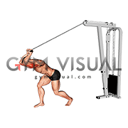 Cable High Pulley Straight Bar Overhead Triceps Extension